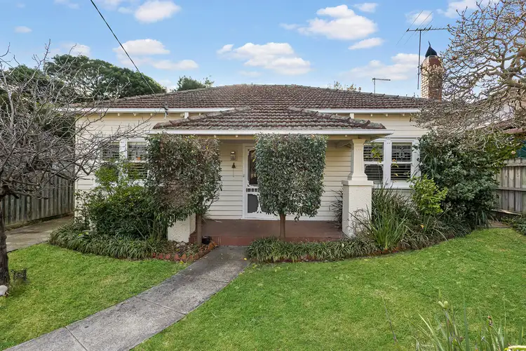 Main view of Homely house listing, 19 Tolls Avenue, Mentone VIC 3194