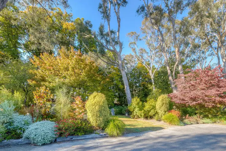 Third view of Homely rural property listing, 6430 Great Alpine Road, Eurobin VIC 3739