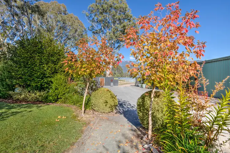 Fourth view of Homely rural property listing, 6430 Great Alpine Road, Eurobin VIC 3739