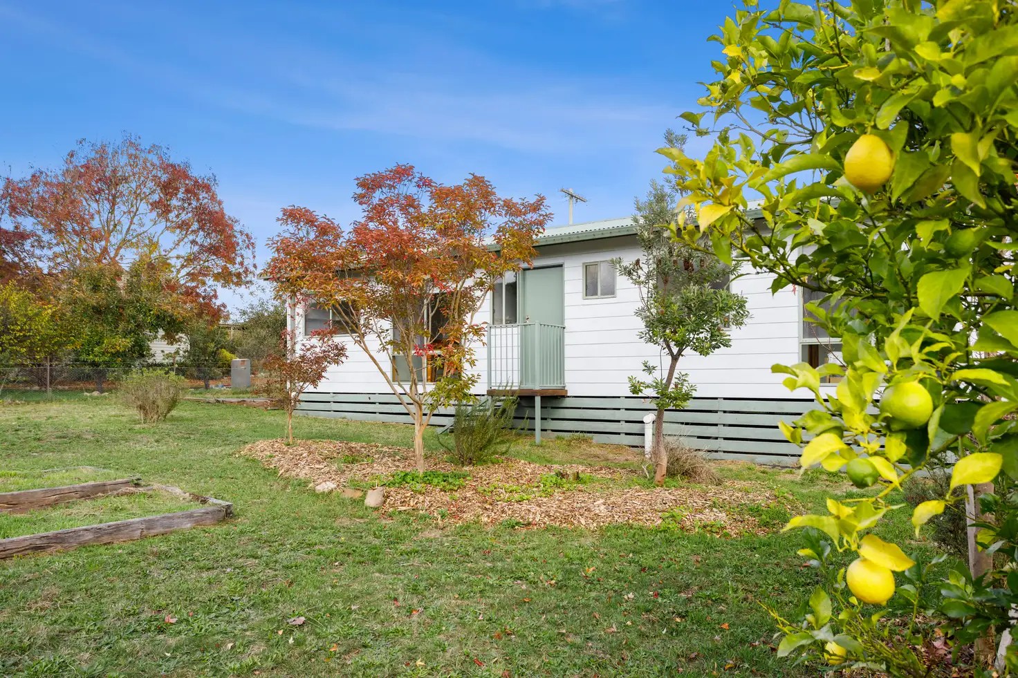 Main view of Homely house listing, 11 McKinnon Road, Hepburn VIC 3461