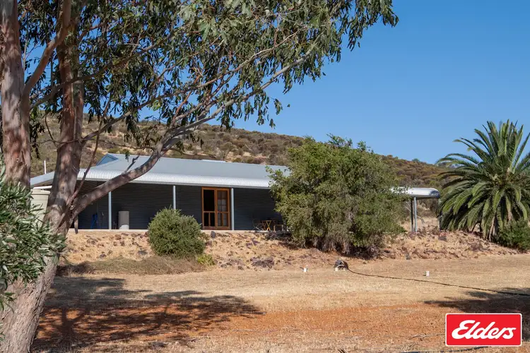 Main view of Homely rural property listing, 89 Roe Close, Mount Hill WA 6528