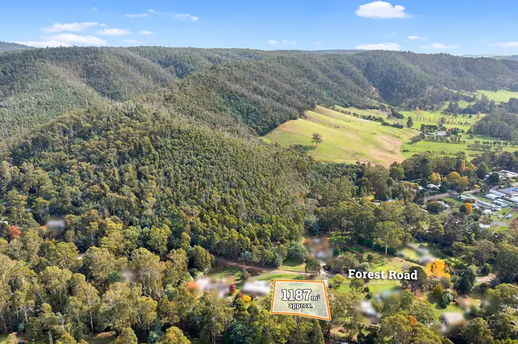 Seventh view of Homely land listing, 35 Forest Road, Flowerdale VIC 3717