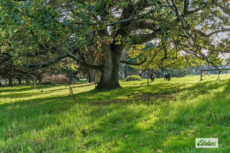 Fourth view of Homely land listing, 5955 South Gippsland Highway, Welshpool VIC 3966