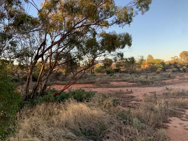 Sixth view of Homely land listing, 107 Danberrin Road, Nungarin WA 6490