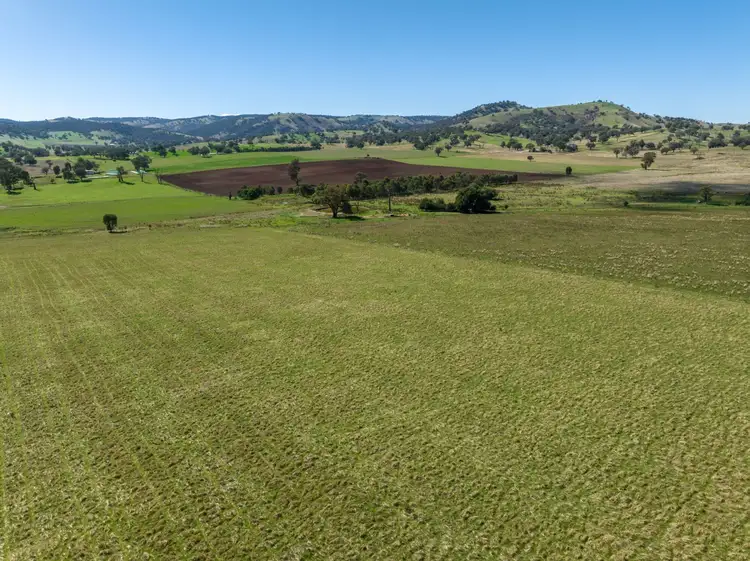 518 Oakhills Road, Gundagai NSW 2722