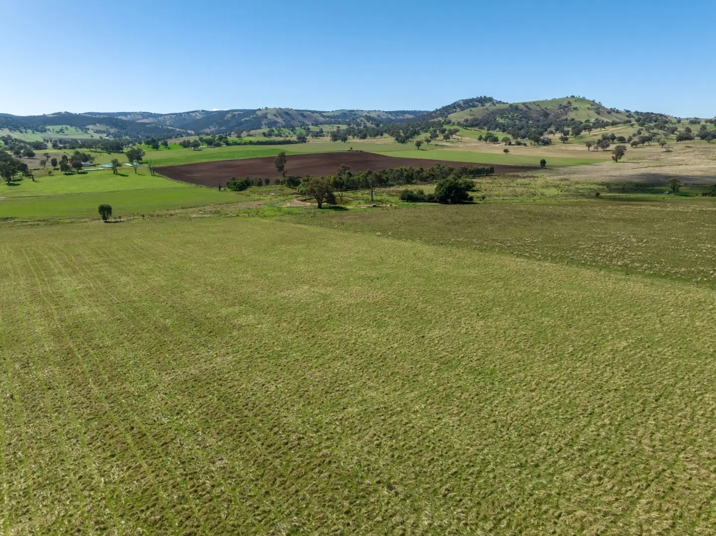 Main view of Homely rural property listing, 518 Oakhills Road, Gundagai NSW 2722