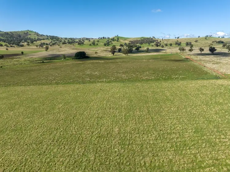 Second view of Homely rural property listing, 518 Oakhills Road, Gundagai NSW 2722