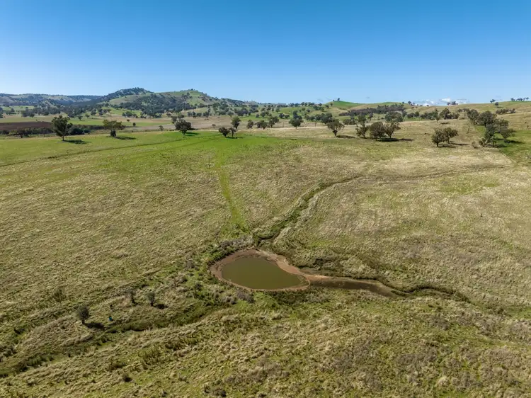 Fourth view of Homely rural property listing, 518 Oakhills Road, Gundagai NSW 2722