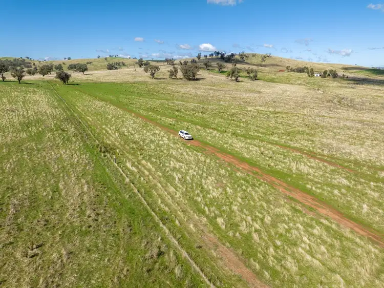 Fifth view of Homely rural property listing, 518 Oakhills Road, Gundagai NSW 2722