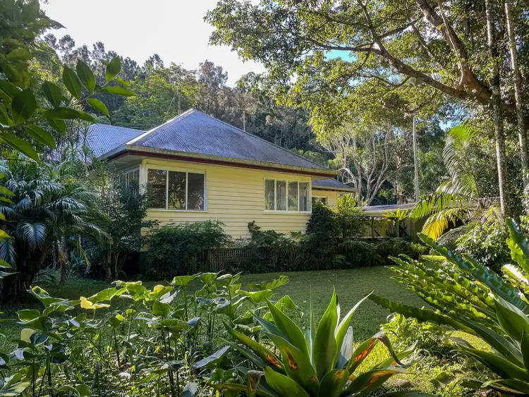 Fifth view of Homely house listing, 1432 Tallebudgera Creek Road, Tallebudgera Valley QLD 4228