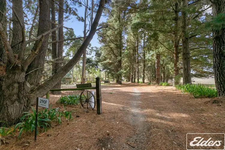 Fifth view of Homely rural property listing, 290f Munetta Road, Pages Flat SA 5172