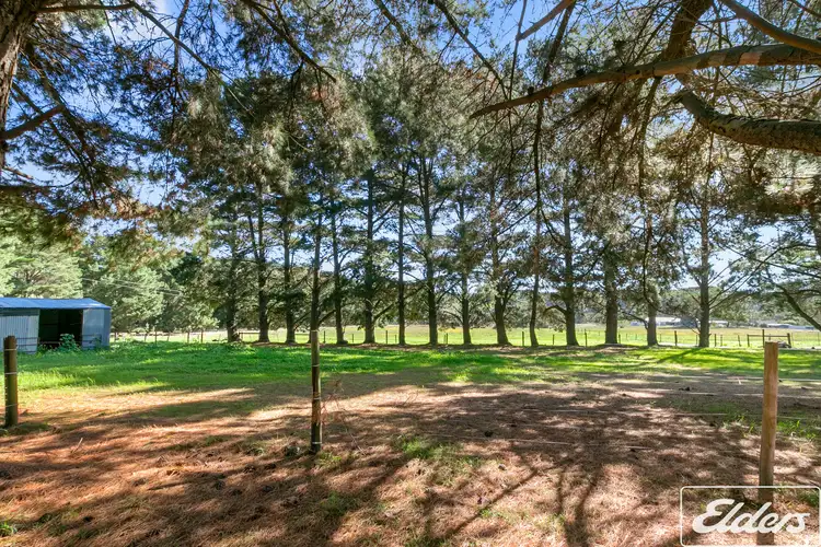 Sixth view of Homely rural property listing, 290f Munetta Road, Pages Flat SA 5172