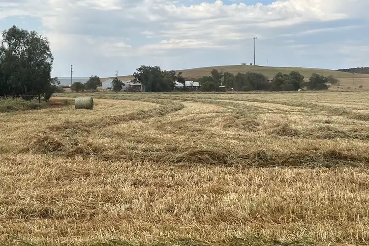 Main view of Homely rural property listing, Lot 8 Chapman Valley Road, Nabawa WA 6532