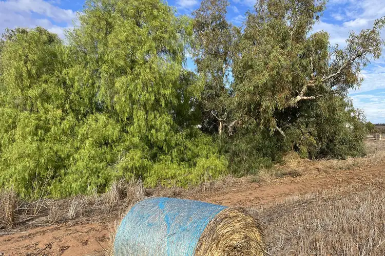 Fourth view of Homely rural property listing, Lot 8 Chapman Valley Road, Nabawa WA 6532