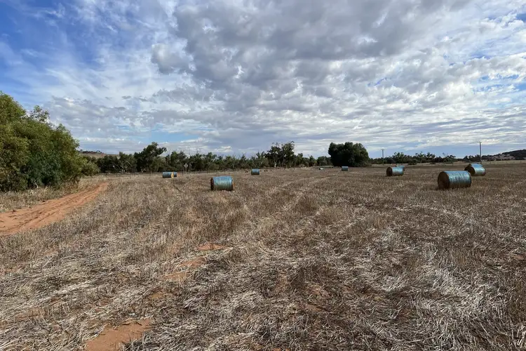 Fifth view of Homely rural property listing, Lot 8 Chapman Valley Road, Nabawa WA 6532