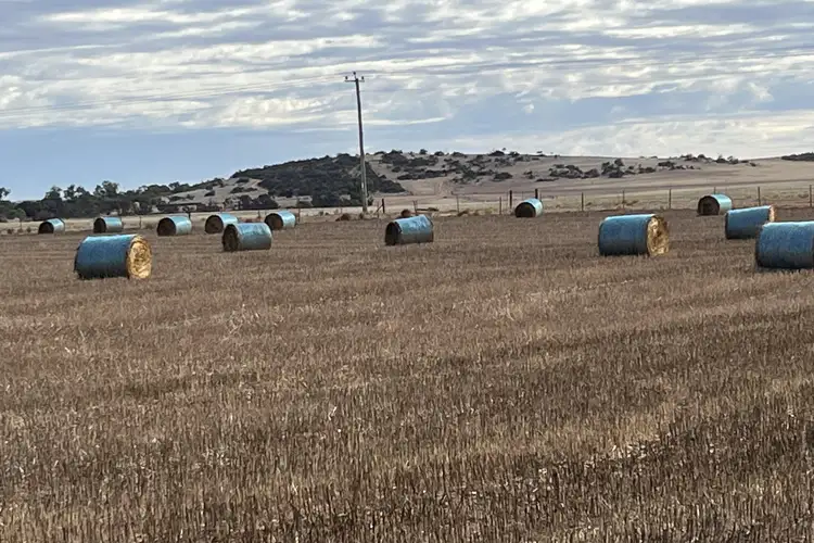 Seventh view of Homely rural property listing, Lot 8 Chapman Valley Road, Nabawa WA 6532