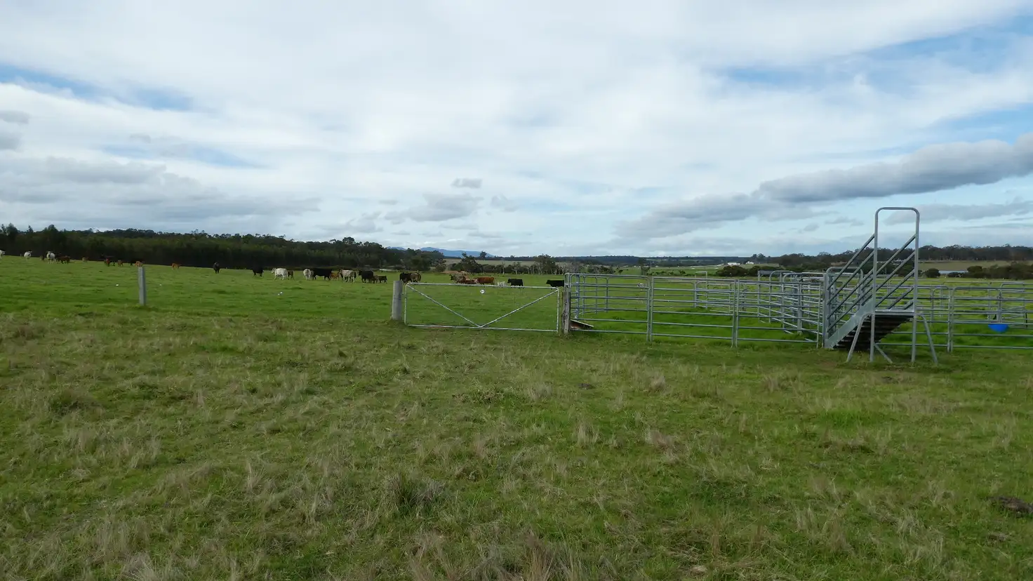 Main view of Homely land listing, 494 SPENCER Road, Narrikup WA 6326