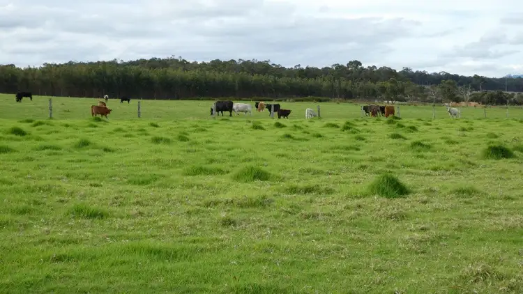 Third view of Homely land listing, 494 SPENCER Road, Narrikup WA 6326