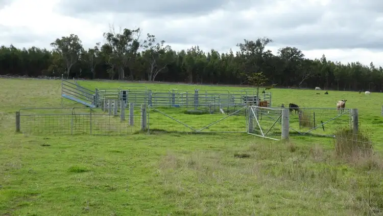 Fifth view of Homely land listing, 494 SPENCER Road, Narrikup WA 6326