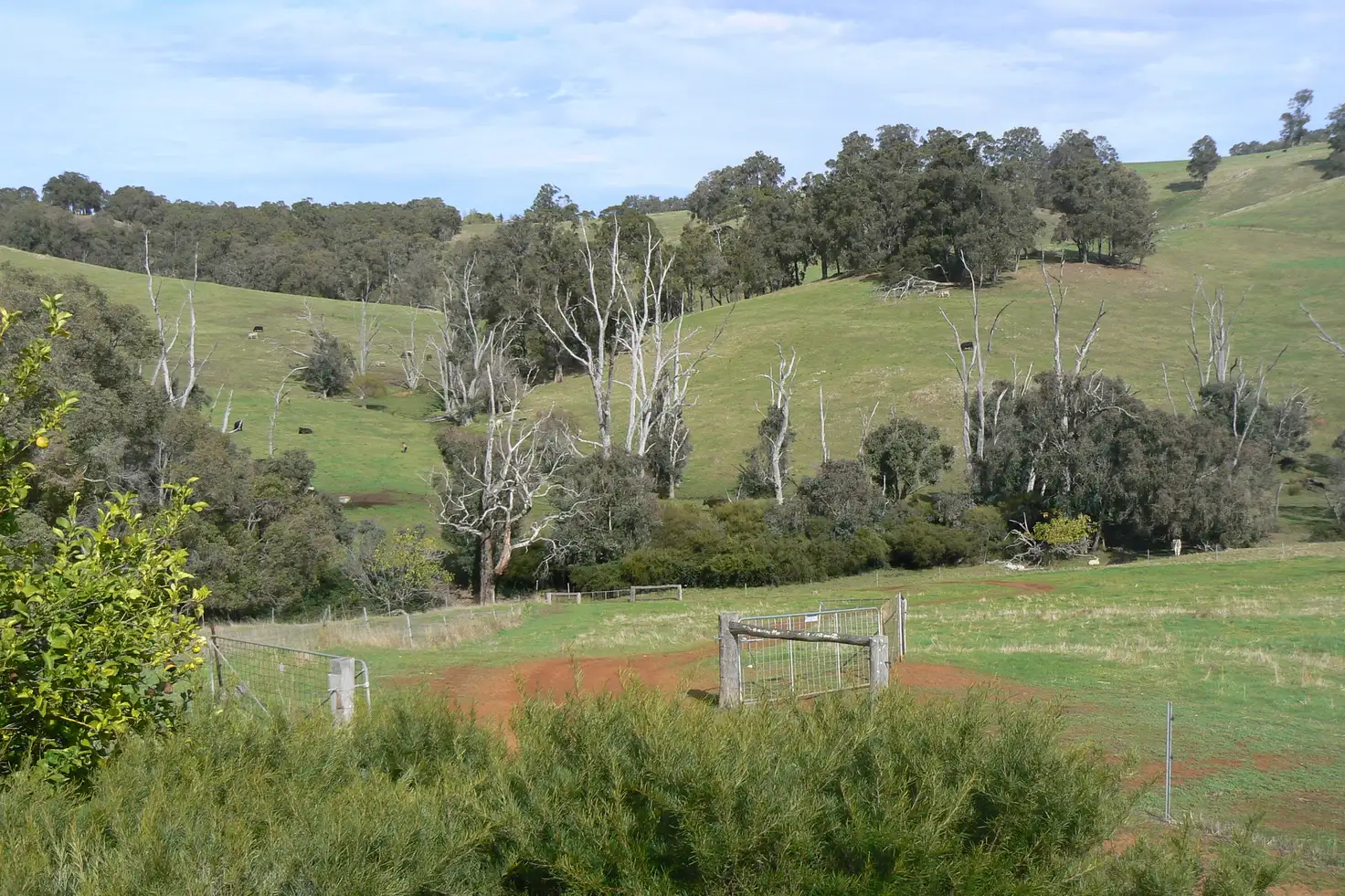 Main view of Homely rural property listing, 191 Torridon Road, Newlands WA 6251