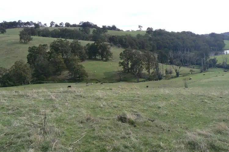 Sixth view of Homely rural property listing, 191 Torridon Road, Newlands WA 6251