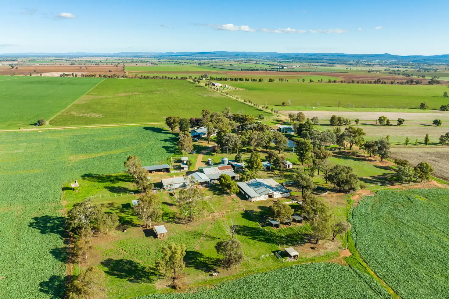 Main view of Homely rural property listing, 191 Troopers Road, Canowindra NSW 2804