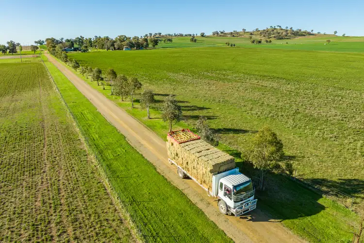 Third view of Homely rural property listing, 191 Troopers Road, Canowindra NSW 2804