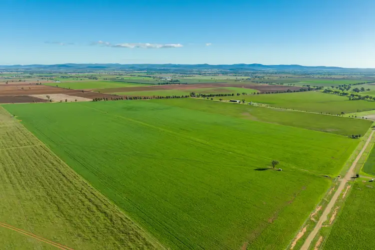 Fourth view of Homely rural property listing, 191 Troopers Road, Canowindra NSW 2804