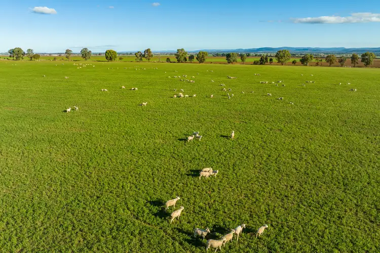 Seventh view of Homely rural property listing, 191 Troopers Road, Canowindra NSW 2804