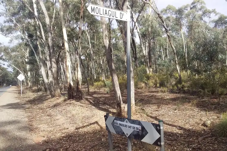 Main view of Homely rural property listing, Lot 19 Moliagul Drive, Moliagul VIC 3472