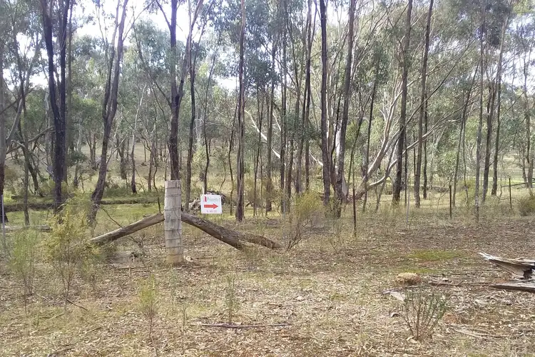 Sixth view of Homely rural property listing, Lot 19 Moliagul Drive, Moliagul VIC 3472
