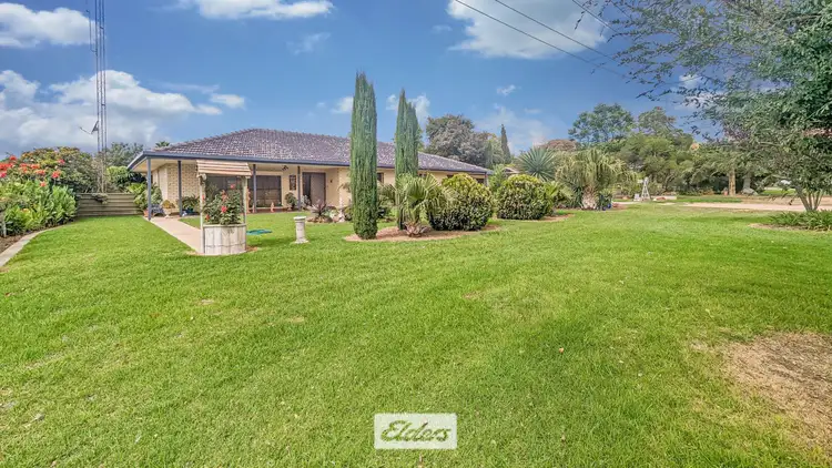 Main view of Homely house listing, 13 Francis Street, Murrayville VIC 3512