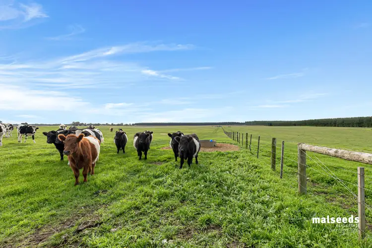 Fourth view of Homely rural property listing, 583 Caroline Road, Glenburnie SA 5291