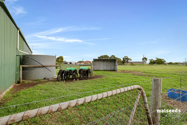 Fifth view of Homely rural property listing, 583 Caroline Road, Glenburnie SA 5291