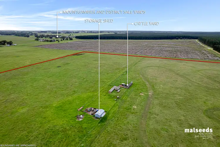 Sixth view of Homely rural property listing, 583 Caroline Road, Glenburnie SA 5291