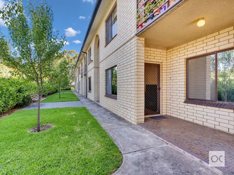 1/45 Balham Avenue, Kingswood SA 5062
