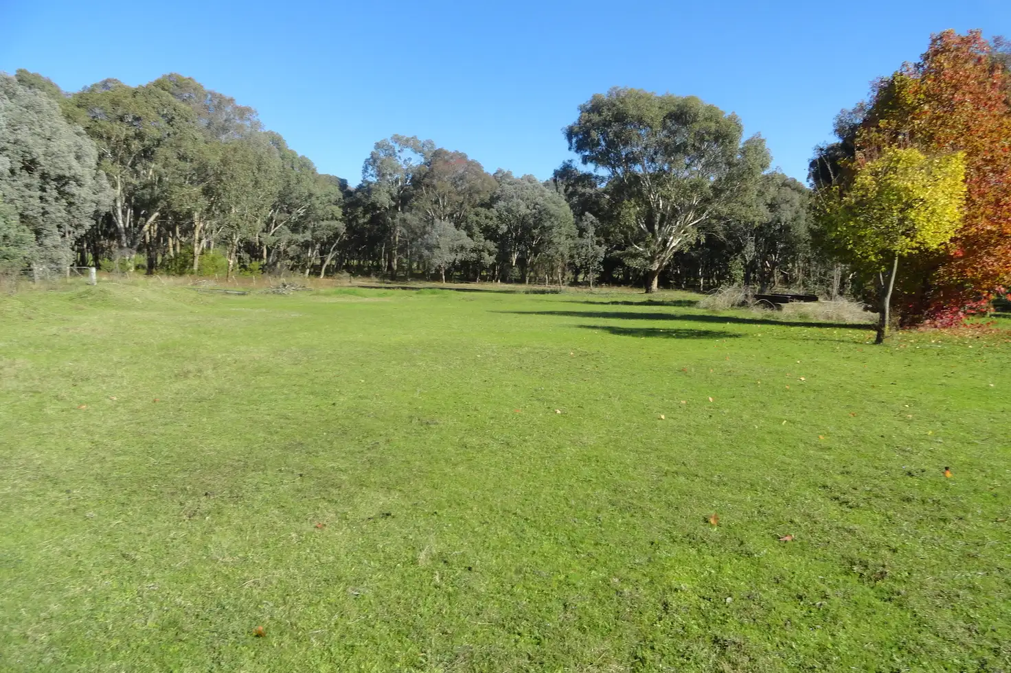 Main view of Homely rural property listing, 52 Boundary Road, Baranduda VIC 3691