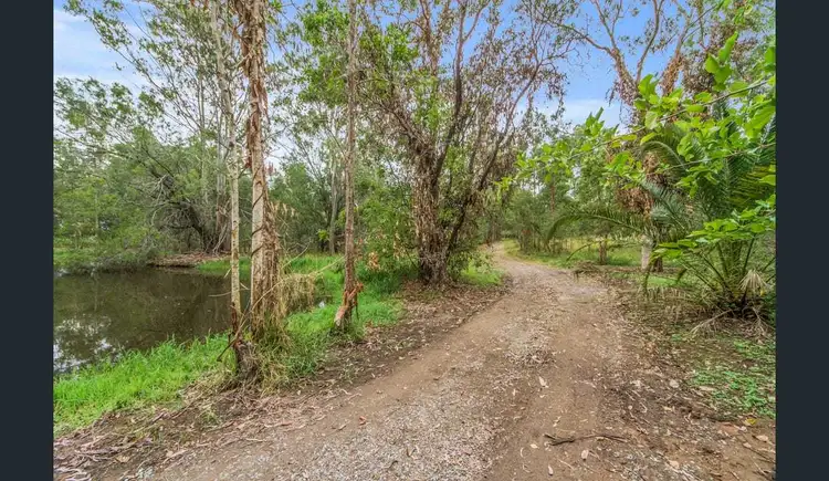 Main view of Homely rural property listing, 26 Palamino Road, Tamborine QLD 4270