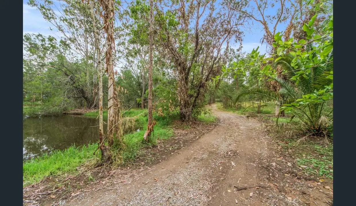 Main view of Homely rural property listing, 26 Palamino Road, Tamborine QLD 4270