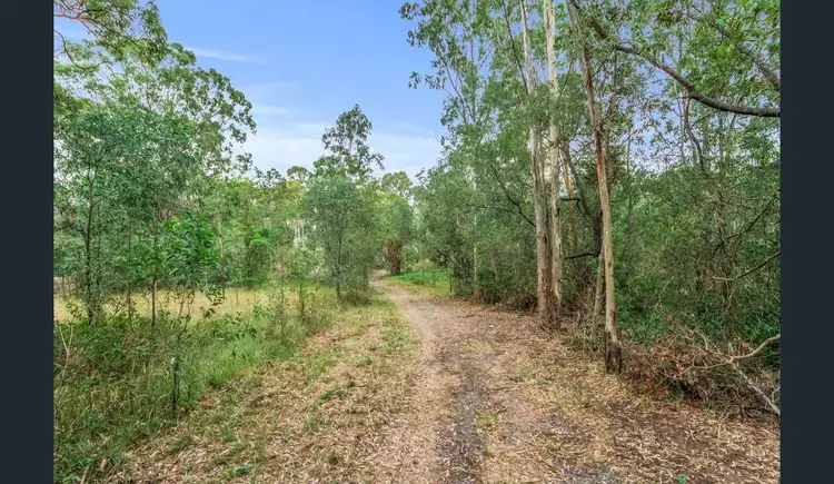 Fourth view of Homely rural property listing, 26 Palamino Road, Tamborine QLD 4270