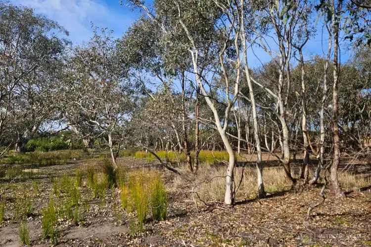 Third view of Homely land listing, 46 Frawley Road, The Heart VIC 3851