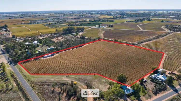 Main view of Homely rural property listing, Lot 1 Dairtnunk Avenue, Irymple VIC 3498