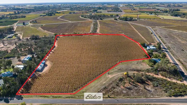 Second view of Homely rural property listing, Lot 1 Dairtnunk Avenue, Irymple VIC 3498