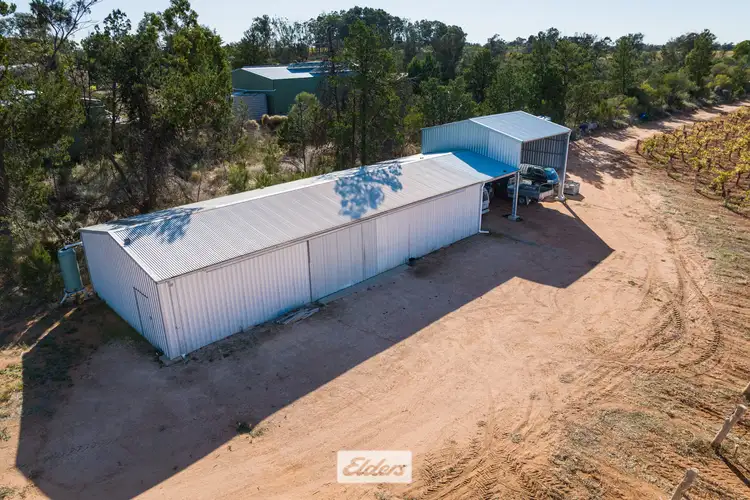 Fourth view of Homely rural property listing, Lot 1 Dairtnunk Avenue, Irymple VIC 3498