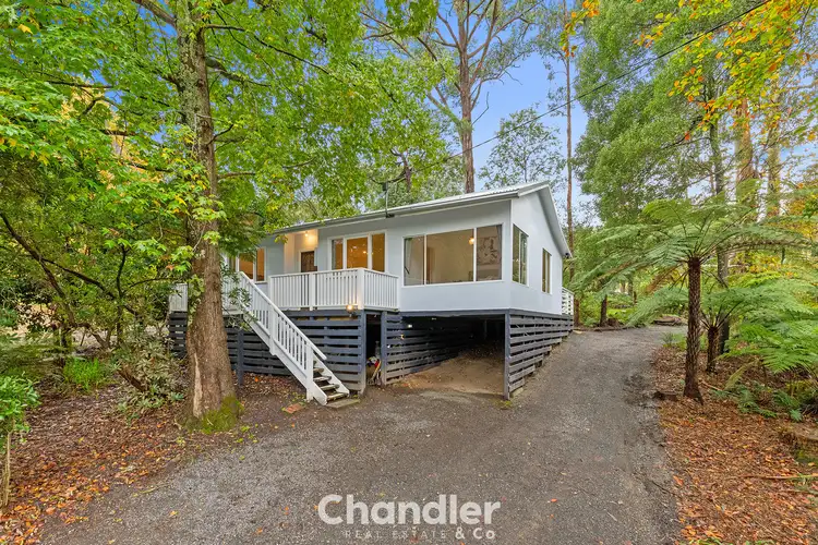Main view of Homely house listing, 208 Emerald Monbulk Road, Monbulk VIC 3793