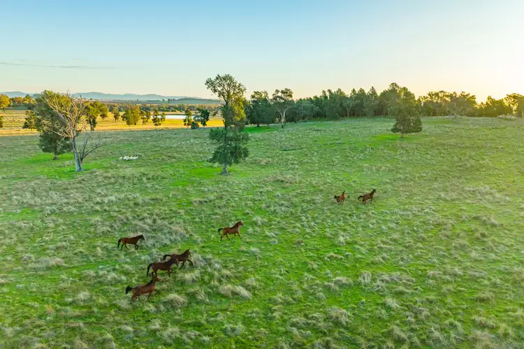 Fourth view of Homely rural property listing, 1022 Nangar Road, Canowindra NSW 2804