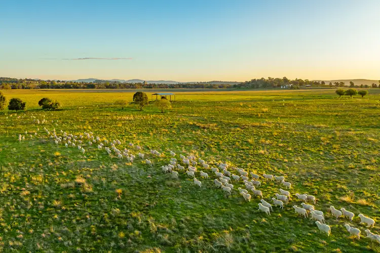 Sixth view of Homely rural property listing, 1022 Nangar Road, Canowindra NSW 2804