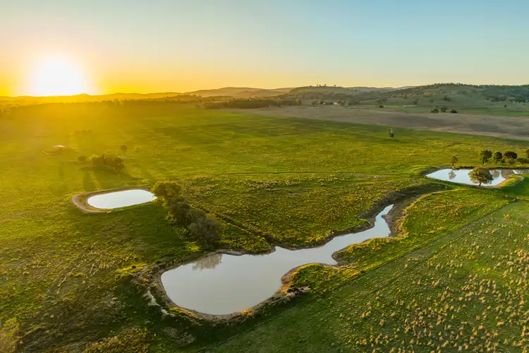 Seventh view of Homely rural property listing, 1022 Nangar Road, Canowindra NSW 2804