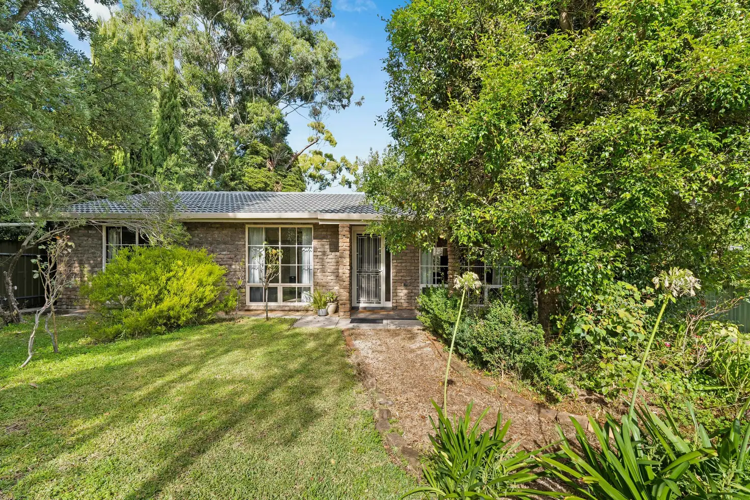 Main view of Homely house listing, 15 Greenwood Grove, Coromandel Valley SA 5051