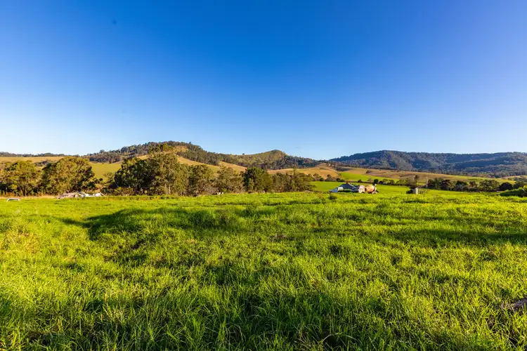 Seventh view of Homely rural property listing, 399 Paterson River Road, Gresford NSW 2311